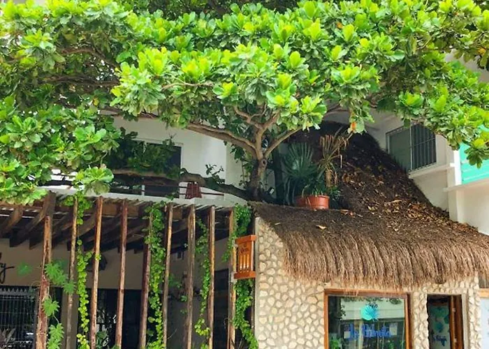 La Palmita By Mij Hotel 3*