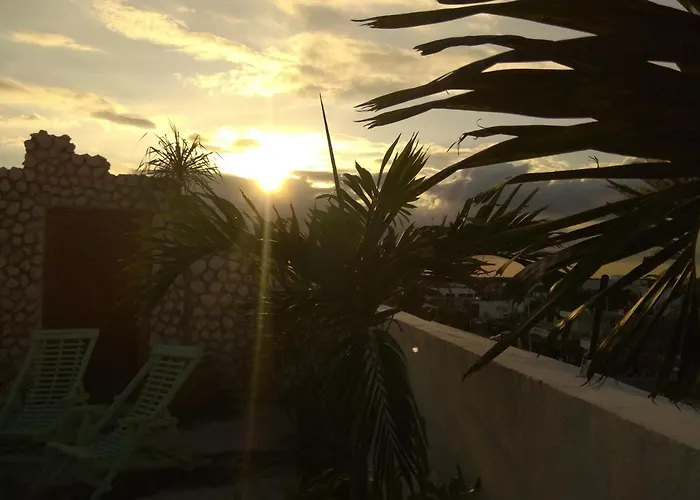La Palmita By Mij